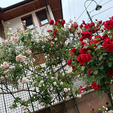 Imas Apartment Sarajevo Eksteriør billede