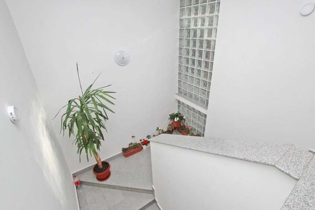 Imas Apartment Sarajevo Eksteriør billede