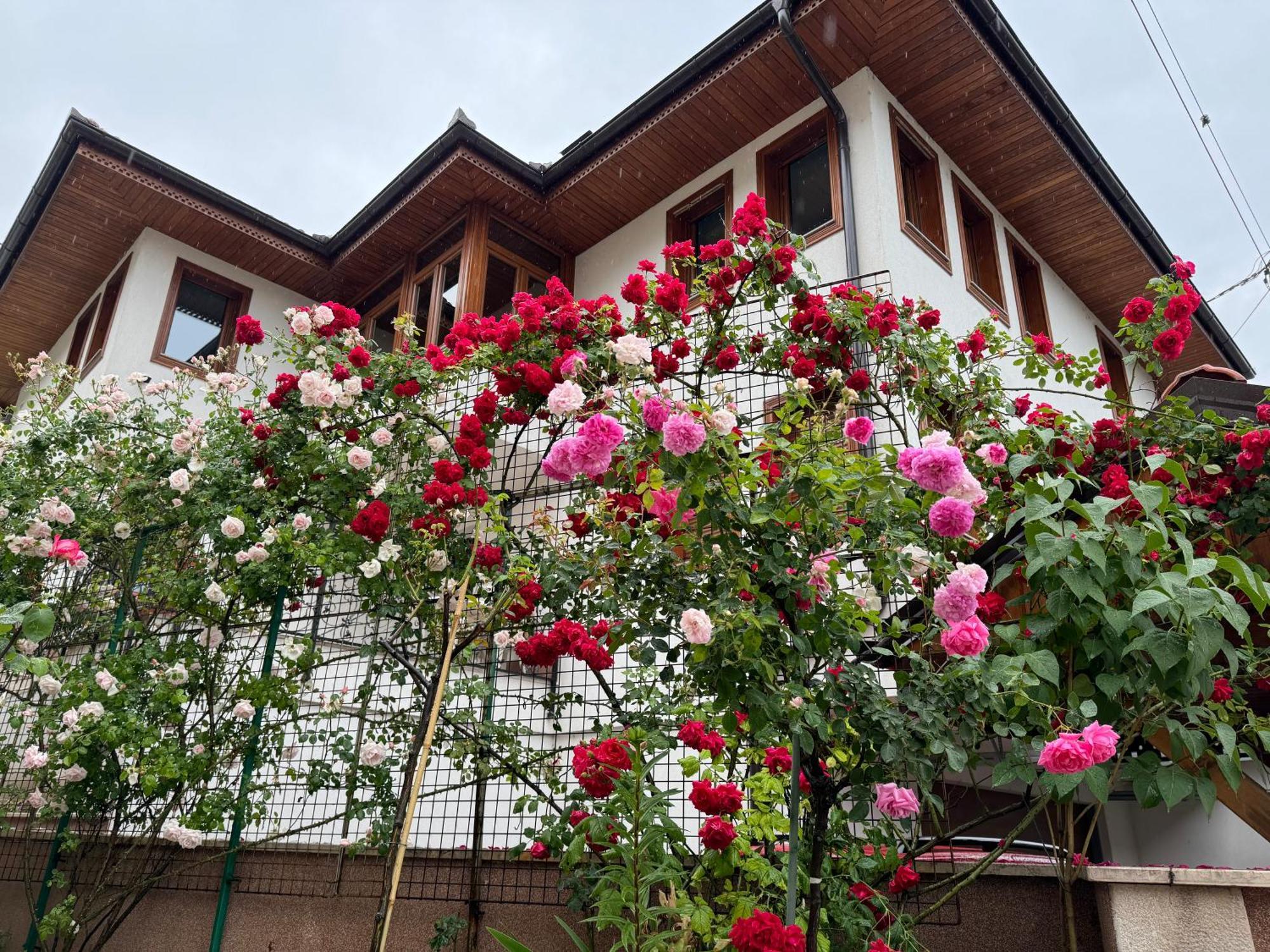 Imas Apartment Sarajevo Eksteriør billede